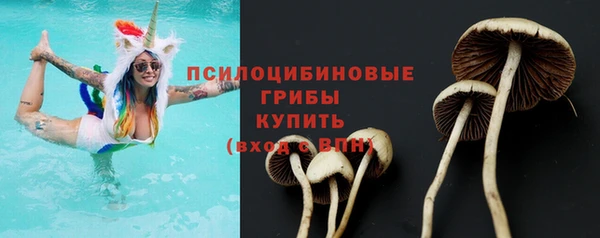ГАЛЛЮЦИНОГЕННЫЕ ГРИБЫ Богородицк