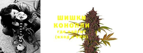 ПСИЛОЦИБИНОВЫЕ ГРИБЫ Богородск