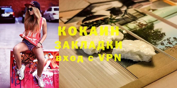 ПСИЛОЦИБИНОВЫЕ ГРИБЫ Богданович