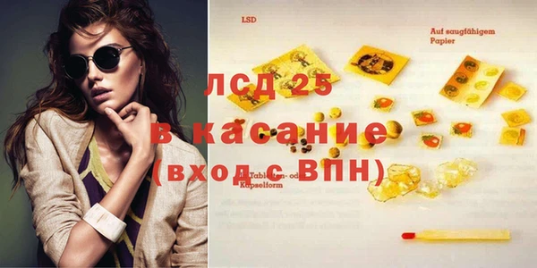 ПСИЛОЦИБИНОВЫЕ ГРИБЫ Богданович